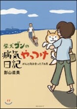 柴犬ゴンの病氣やっつけ日記