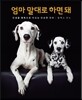 엄마 말대로 하면 돼