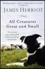 All Creatures Great and Small