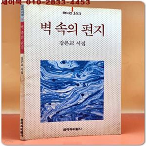 벽 속의 편지 - 강은교시집 (창비시선 105) 