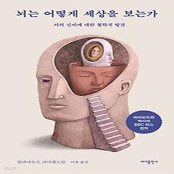 뇌는 어떻게 세상을 보는가