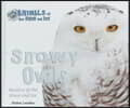 Snowy Owls: Hunters of the Snow and Ice