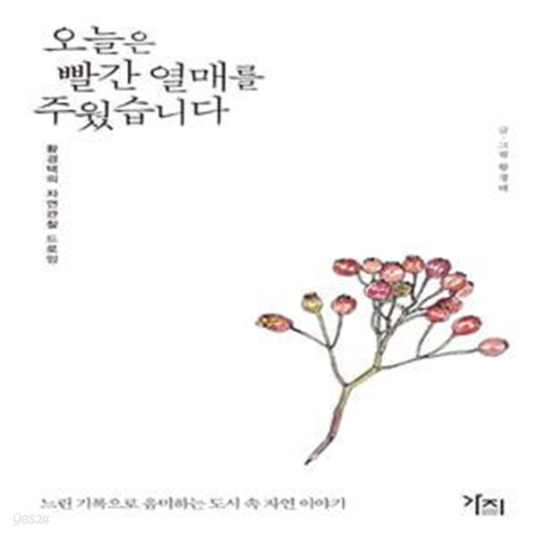 오늘은 빨간 열매를 주웠습니다 (황경택의 자연관찰 드로잉)