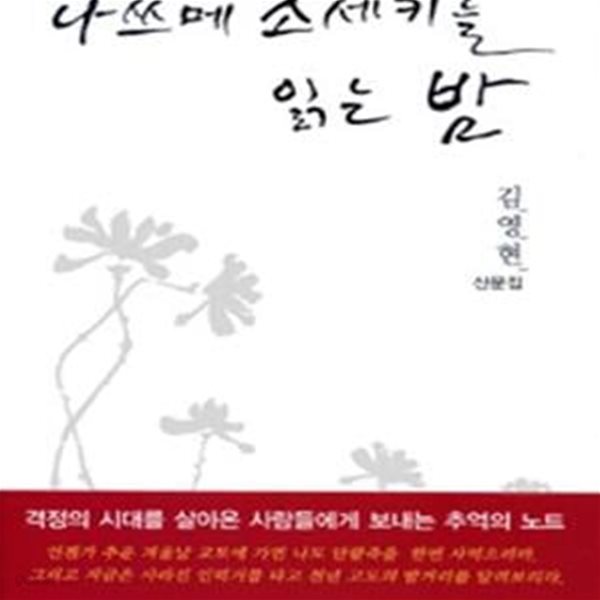 나쓰메 소세키를 읽는 밤 (김영현 산문집)