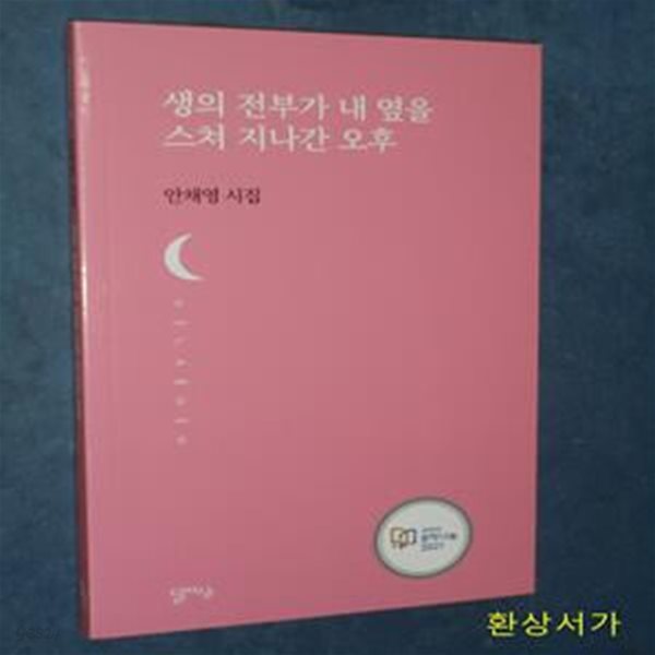 생의 전부가 내 옆을 스쳐 지나간 오후 (안채영 시집)