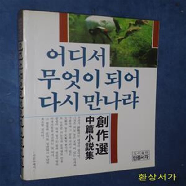 어디서 무엇이 되어 다시 만나랴 - 중편소설집 창작선