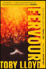 Fervour