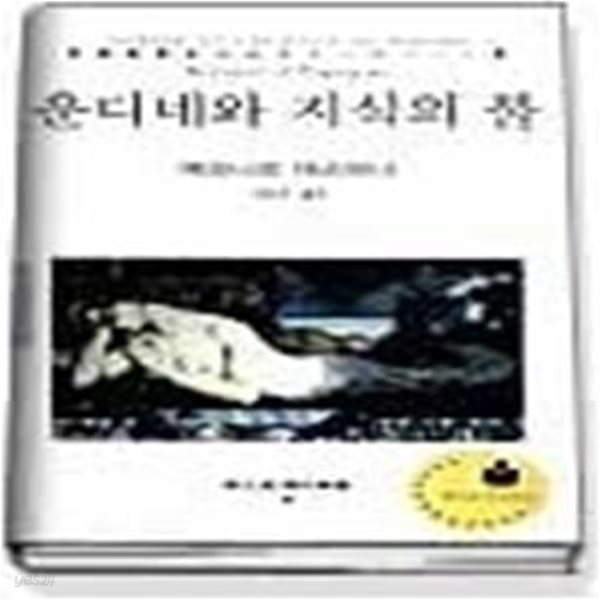 운디네와 지식의 불 (현대신서46)