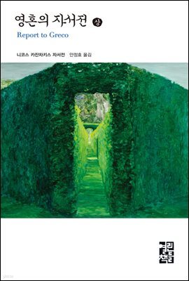 영혼의 자서전 (상) - 열린책들 세계문학 035