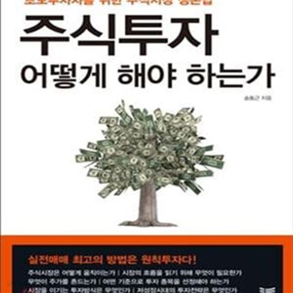 주식투자 어떻게 해야 하는가 (초보투자자를 위한 주식시장 생존법)