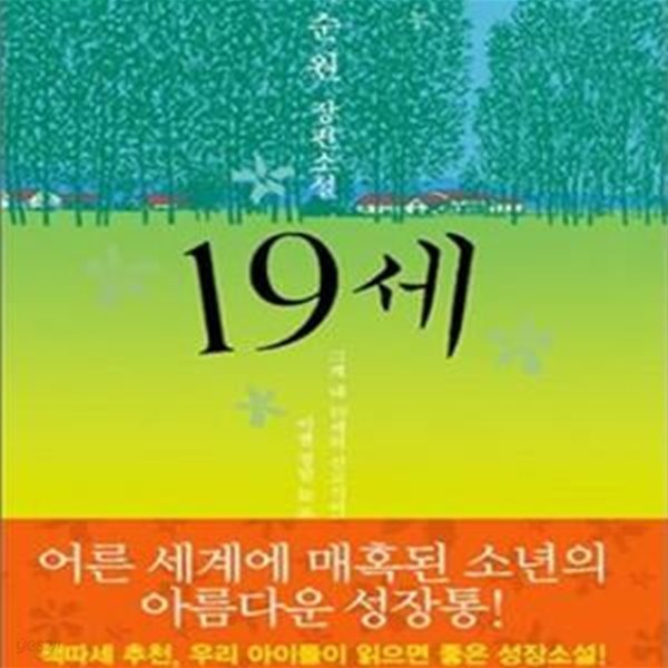 19세 (이순원 장편소설)