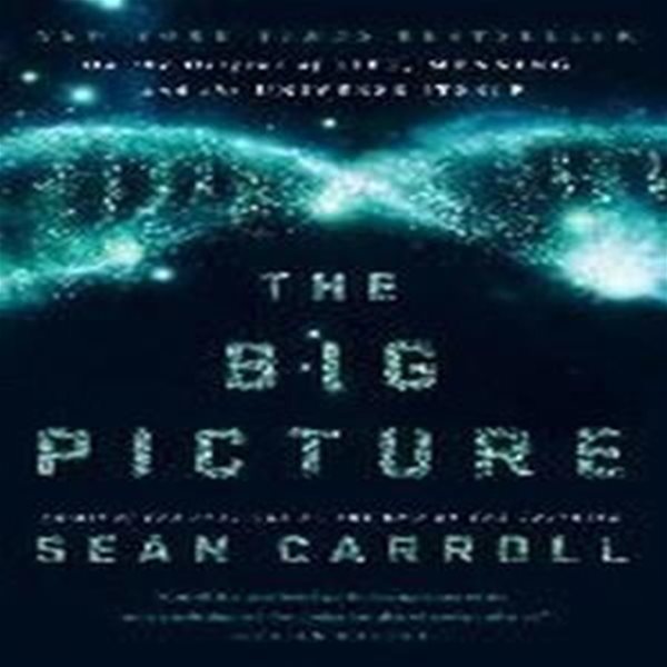 The Big Picture 양장본 Hardcover (On the Origins of Life, Meaning, and the Universe Itself)