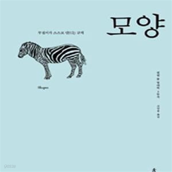 모양 (무질서가 스스로 만드는 규칙, Shapes)