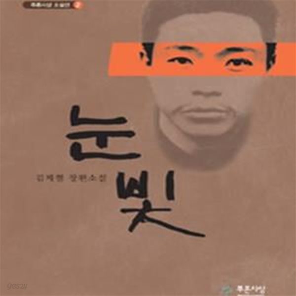 눈빛 (김제철 장편소설)