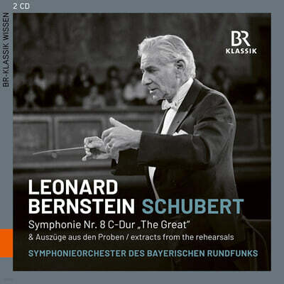 Leonard Bernstein 슈베르트: 교향곡 8번 ‘그레이트’ 리허설 및 공연 (Schubert: Symphony No.8)