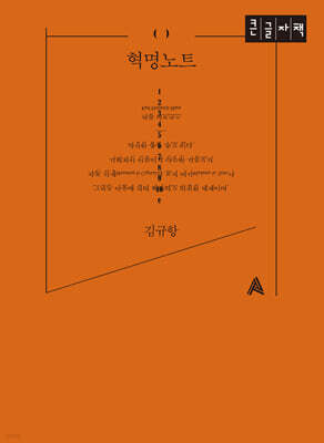 혁명노트 (큰글자책)