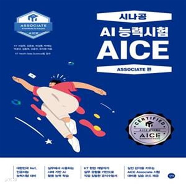 시나공 AI 능력시험 AICE Associate편