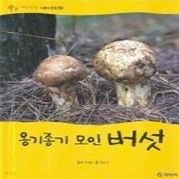 옹기종기 모인 버섯 (식물과균류)