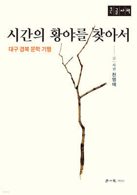 시간의 황야를 찾아서 (큰글자책)