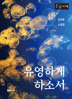 유영하게 하소서 (큰글자책)