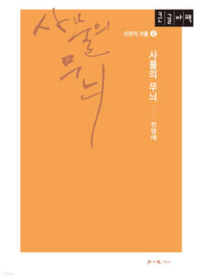 사물의 무늬 (큰글자책)