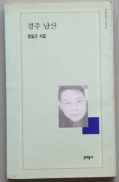 경주 남산 (정일근 시집)