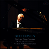 베토벤: 피아노 소나타 28-32번 (Beethoven: Late Piano Sonatas) (2CD)(일본반) - Friedrich Wilhelm Schnurr