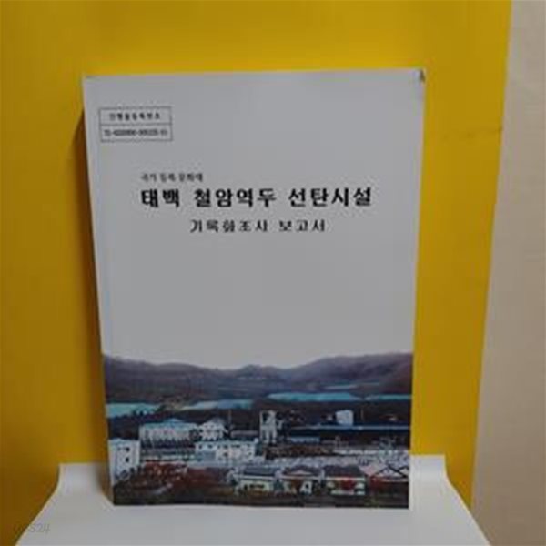 태백 철암역두 선탄시설 기록화 조사 보고서(CD1)[91-102QA]