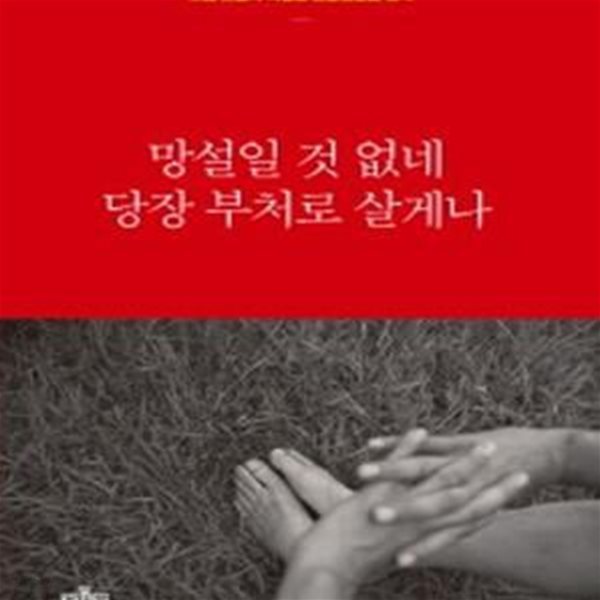 망설일 것 없네 당장 부처로 살게나: 도법 스님의 화엄경 보현행원품 강의