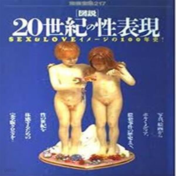 圖說 20世紀の性表現: SEX&amp;LOVEイメ?ジの100年史 (일문판, 1995 초판) 도설 20세기의 성표현