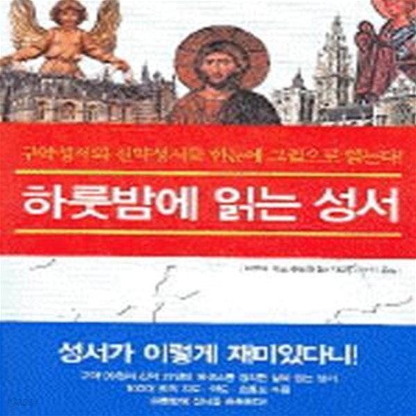 하룻밤에 읽는 성서 (구약성서와 신약성서를 한눈에 그림으로 읽는다)