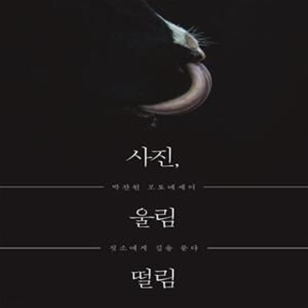 사진, 울림 떨림 (박찬원 포토에세이｜젖소에게 길을 묻다)