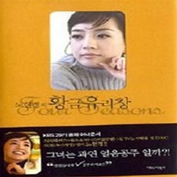 노현정의 황금유리창