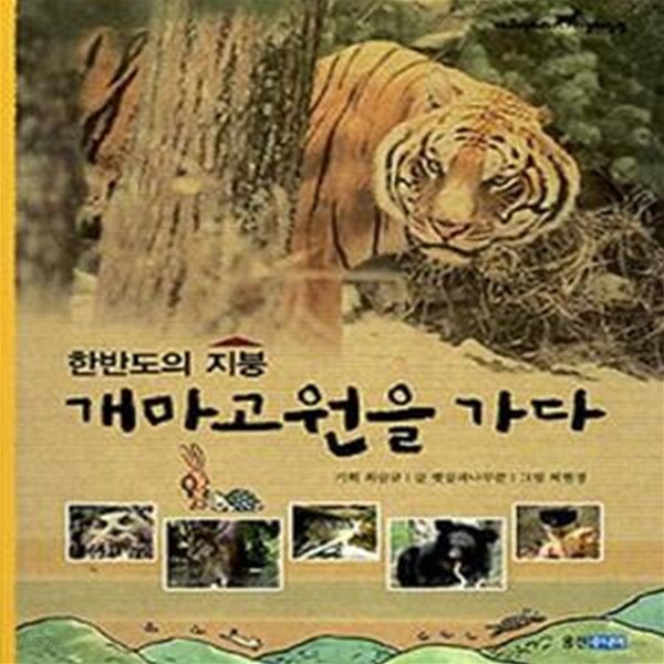 한반도의 지붕 개마고원을 가다