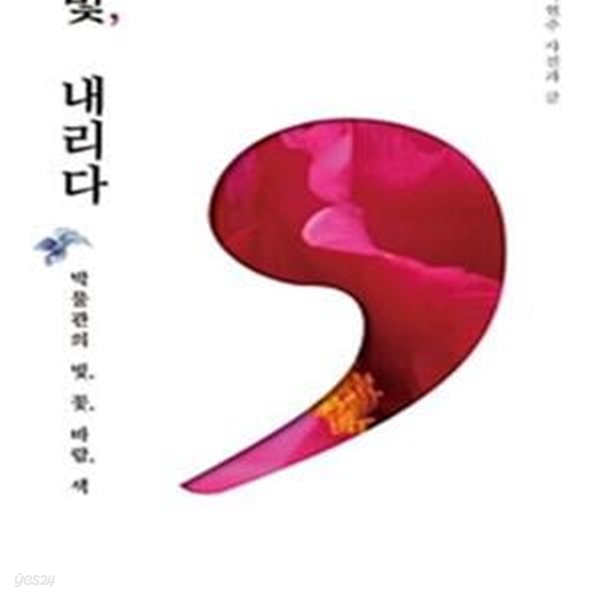 빛, 내리다 (박물관의 빛, 꽃, 바람, 색)