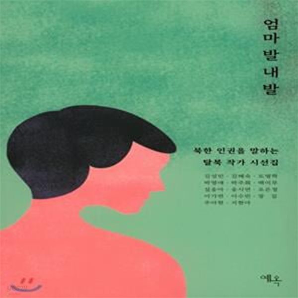 엄마 발 내 발 (북한 인권을 말하는 탈북 작가 시선집)