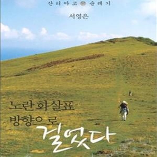 노란 화살표 방향으로 걸었다 (산티아고 순례기)