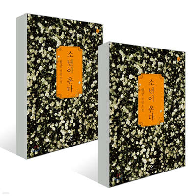 소년이 온다 (큰글자책) 세트