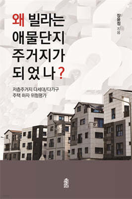 왜 빌라는 애물단지 주거지가 되었나? (큰글자도서)