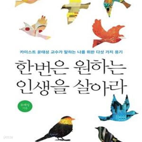 한번은 원하는 인생을 살아라 (카이스트 윤태성 교수가 말하는 나를 위한 다섯 가지 용기)