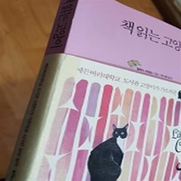 책 읽는 고양이      /(알렉스 하워드/사진참조)