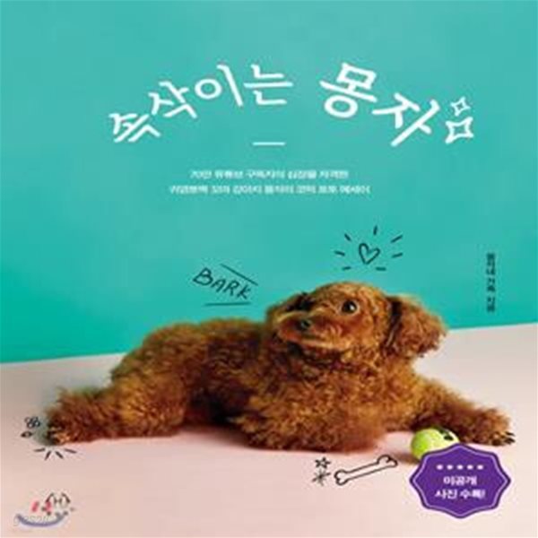 속삭이는 몽자 (70만 유튜브 구독자의 심장을 제대로 저격한 귀염뽀짝 꼬마 강아지 몽자의 코믹 포토 에세이)