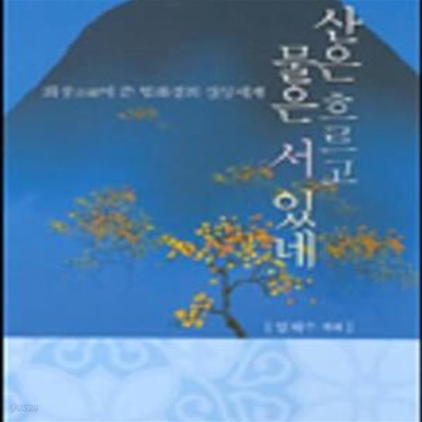 산은 흐르고 물은 서 있네 (법화경)     /(임채수/하단참조)