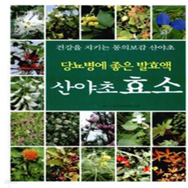 당뇨병에 좋은 발효액  산야초 효소 (건강을 지키는 동의보감 산야초)