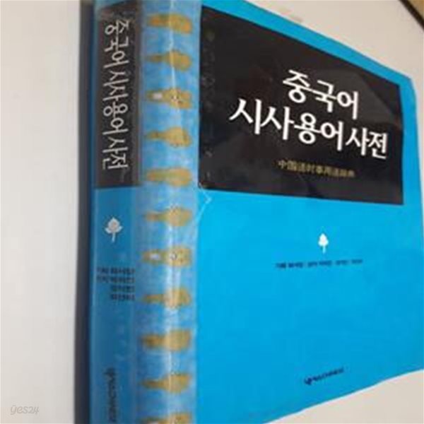 중국어 시사용어사전      /(사진참조)