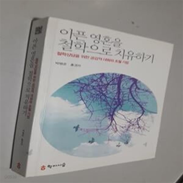 아픈 영혼을 철학으로 치유하기 (철학상담을 위한 공감적 대화와 초월 기법)     /(박병준)