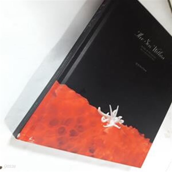 The Sea Within 내마음, 내 기억 속의 바다      /(장한/사진 및 하단참조)