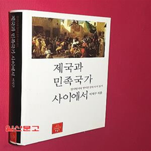 제국과 민족국가 사이에서 (탈식민시대 영어권 문학 다시 읽기)