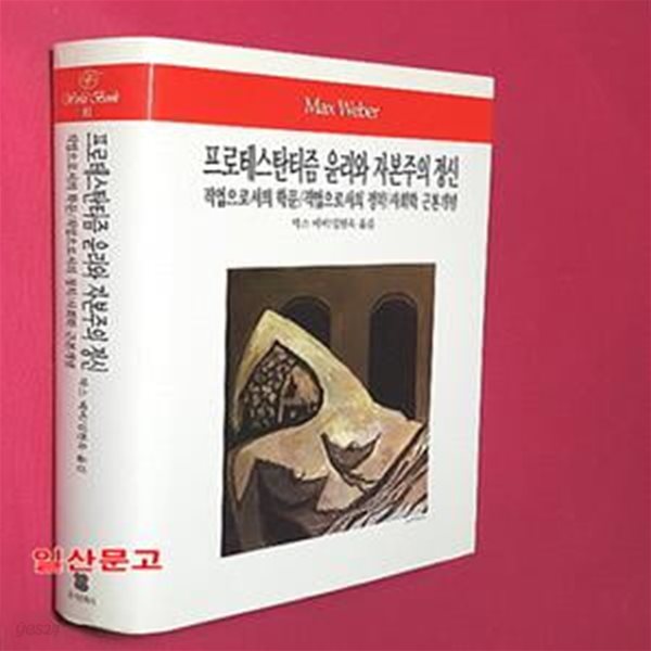 프로테스탄티즘 윤리와 자본주의 정신 (직업으로서의 학문 직업으로서의 정치 사회학 근본개념)