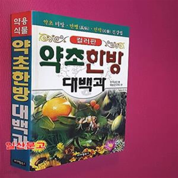 한방 약초 민간요법 대백과